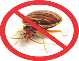 Pest Control Orlando- Bed bug exterminator Orlando- Affordable bed bug treatment using heaters