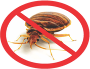 Pest Control Orlando fl - How to get rid of bed bugs?  An orlando fl bed bugs company near you will be very expensive.  Affordable pest control in orlando is here!  Bed Bugs Florida for renting a bed bug heater.